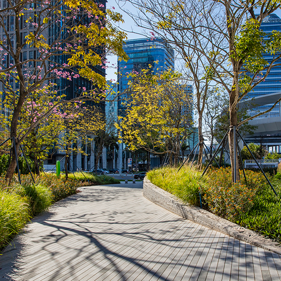 濱海廊橋工程園建工程標(biāo)段2(B地塊-E地塊)