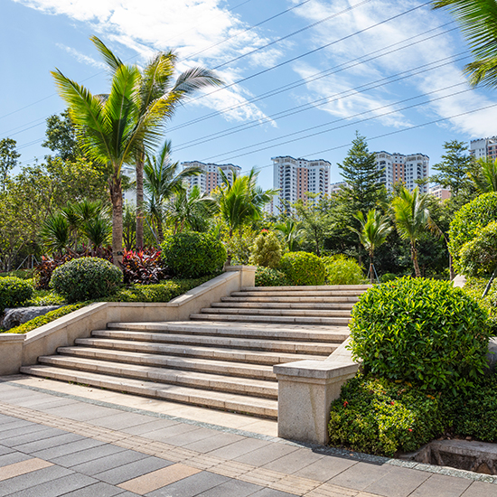 鳳舉路 ( 光源四路至光明大道段 ) 綠化景觀提升項目