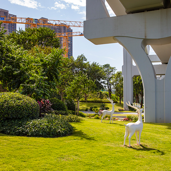 光明區(qū)軌道 6 號線綠化恢復(fù)項目一光明大道段、高架公園