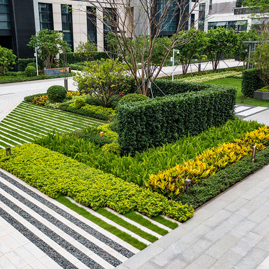 安居博文苑項目室外園林景觀工程
